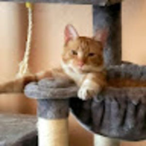 Meet your Posher, Missy